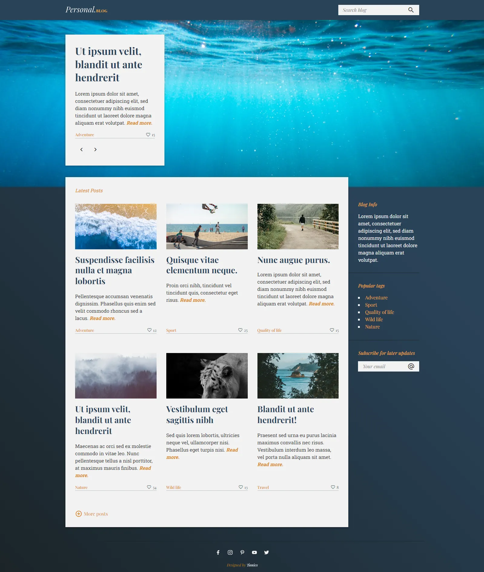 Visão completa das páginas do blog pessoal